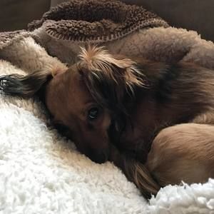 Meet your Posher, Rick